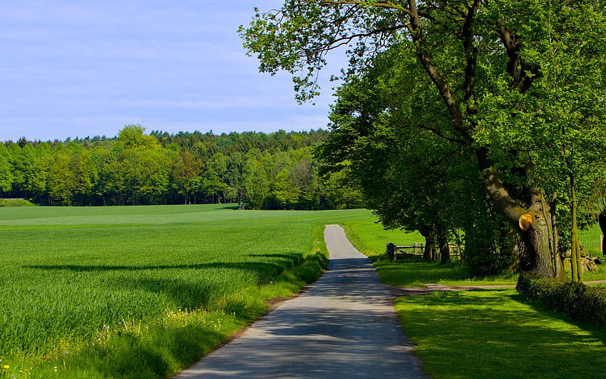 desktop-wallpaper-high-definition-nature-beautiful-of-nature-real-nature.jpg